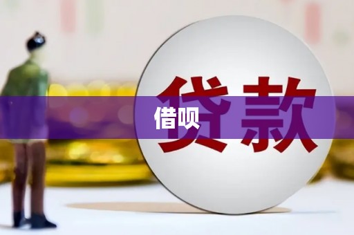 武汉借呗