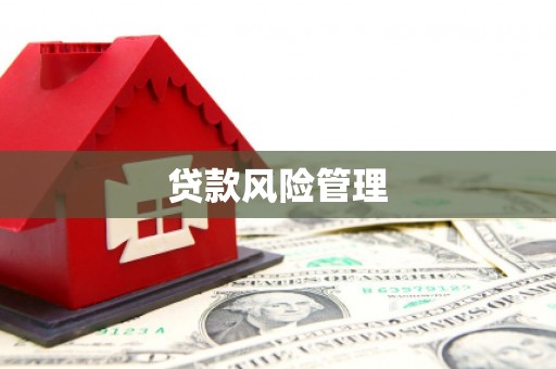 武汉贷款风险管理