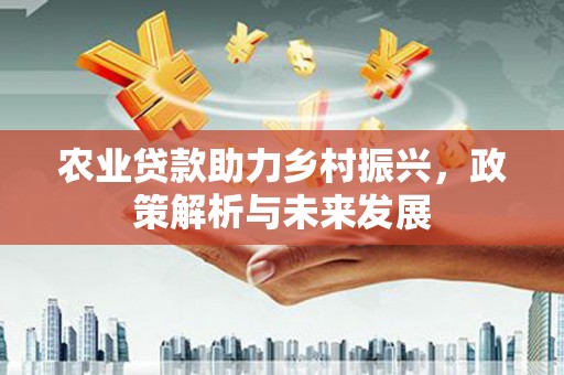 武汉农业贷款助力乡村振兴，政策解析与未来发展