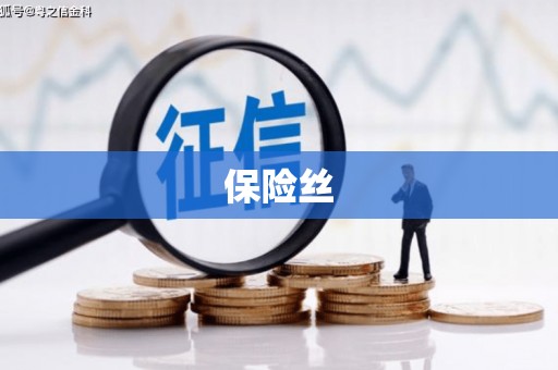 武汉保险丝