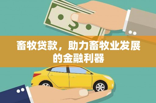 武汉畜牧贷款，助力畜牧业发展的金融利器