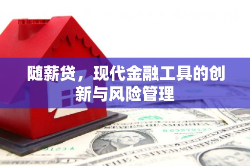 武汉随薪贷，现代金融工具的创新与风险管理