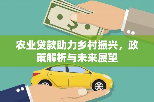 武汉农业贷款助力乡村振兴，政策解析与未来展望
