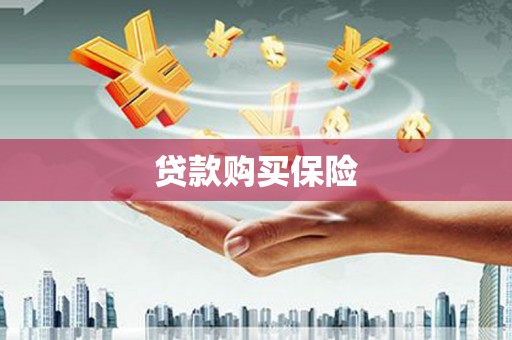 武汉贷款购买保险