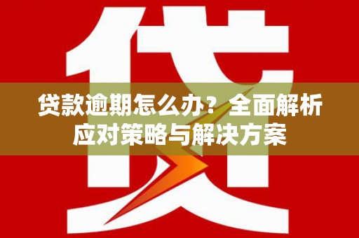 武汉贷款逾期怎么办？全面解析应对策略与解决方案