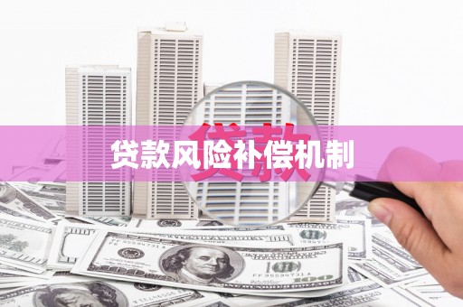 武汉贷款风险补偿机制