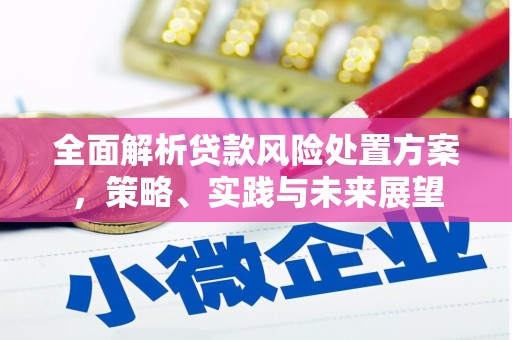 武汉全面解析贷款风险处置方案，策略、实践与未来展望