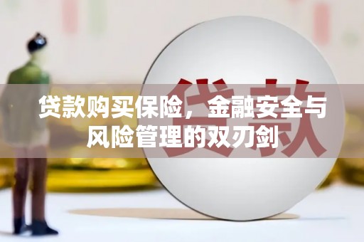 武汉贷款购买保险，金融安全与风险管理的双刃剑
