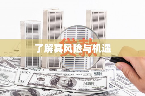 武汉了解其风险与机遇