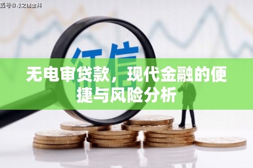 武汉无电审贷款，现代金融的便捷与风险分析