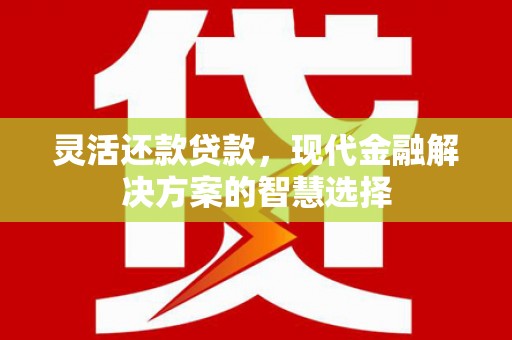 武汉灵活还款贷款，现代金融解决方案的智慧选择