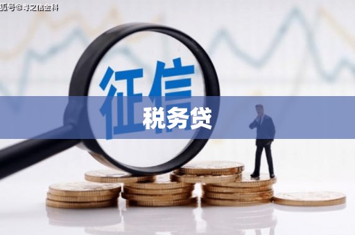 武汉税务贷