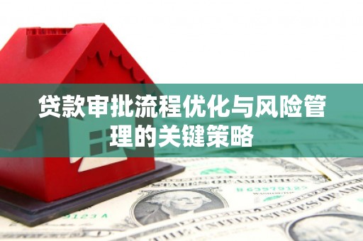 武汉贷款审批流程优化与风险管理的关键策略