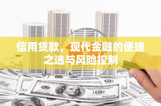 武汉信用贷款，现代金融的便捷之选与风险控制