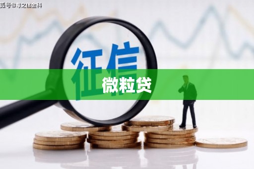 武汉微粒贷