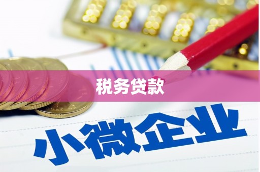 武汉税务贷款