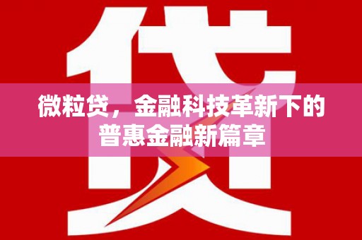 武汉微粒贷，金融科技革新下的普惠金融新篇章