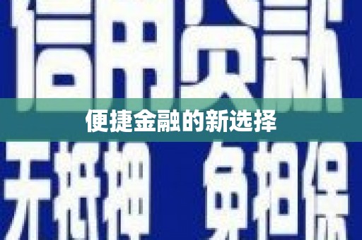 武汉便捷金融的新选择