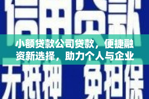 武汉小额贷款公司贷款，便捷融资新选择，助力个人与企业成长
