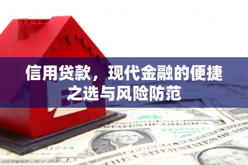 武汉信用贷款，现代金融的便捷之选与风险防范
