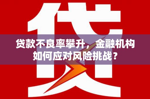武汉贷款不良率攀升，金融机构如何应对风险挑战？