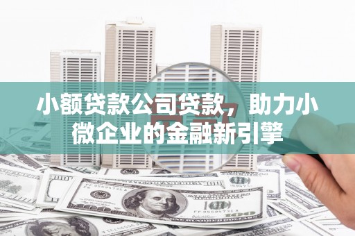 武汉小额贷款公司贷款，助力小微企业的金融新引擎
