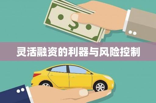 武汉灵活融资的利器与风险控制