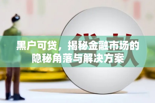 武汉黑户可贷，揭秘金融市场的隐秘角落与解决方案