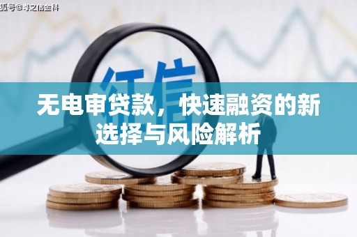 武汉无电审贷款，快速融资的新选择与风险解析