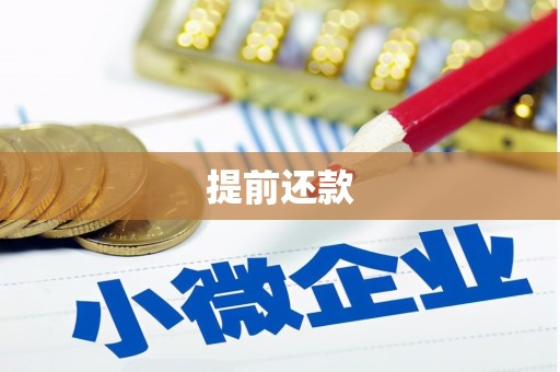 武汉提前还款