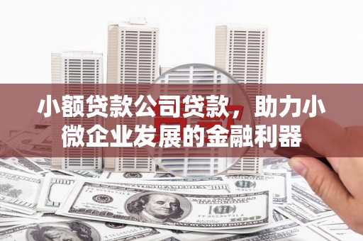 武汉小额贷款公司贷款，助力小微企业发展的金融利器