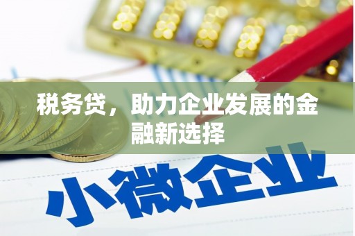 武汉税务贷，助力企业发展的金融新选择