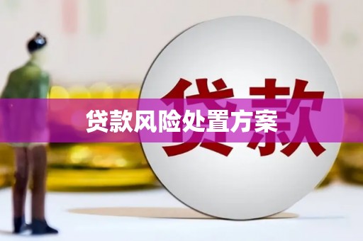 武汉贷款风险处置方案