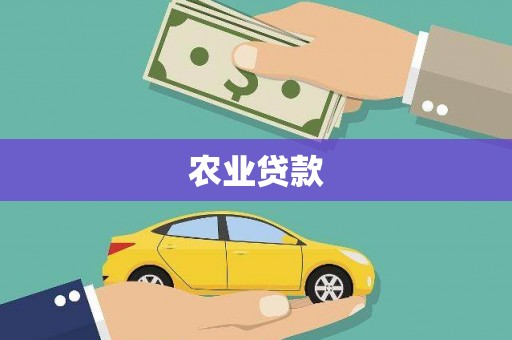 武汉农业贷款