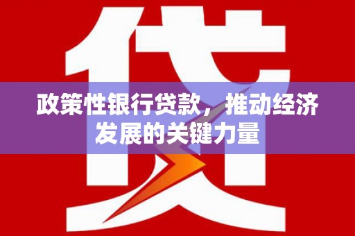 武汉政策性银行贷款，推动经济发展的关键力量