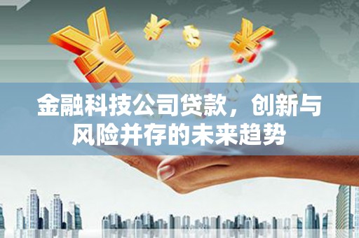 武汉金融科技公司贷款，创新与风险并存的未来趋势