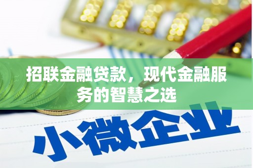 武汉招联金融贷款，现代金融服务的智慧之选