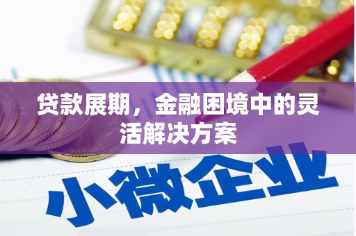 武汉贷款展期，金融困境中的灵活解决方案