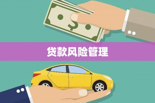 武汉贷款风险管理