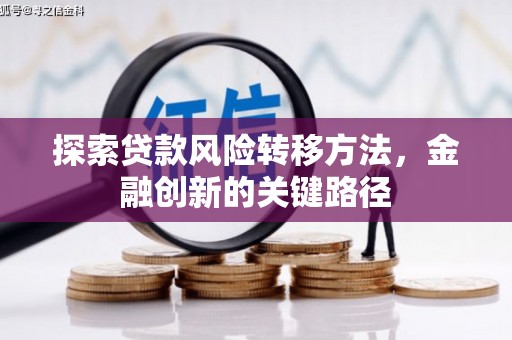 武汉探索贷款风险转移方法，金融创新的关键路径