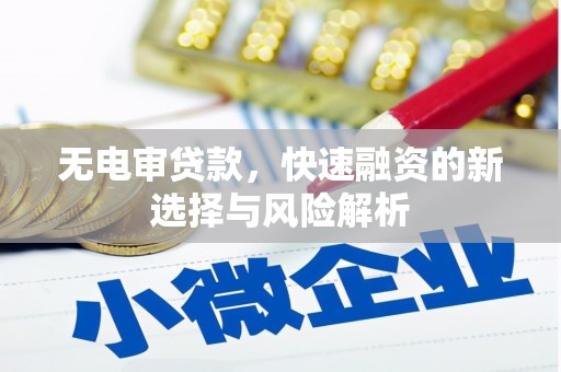 武汉无电审贷款，快速融资的新选择与风险解析
