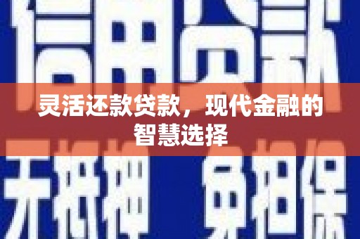 武汉灵活还款贷款，现代金融的智慧选择