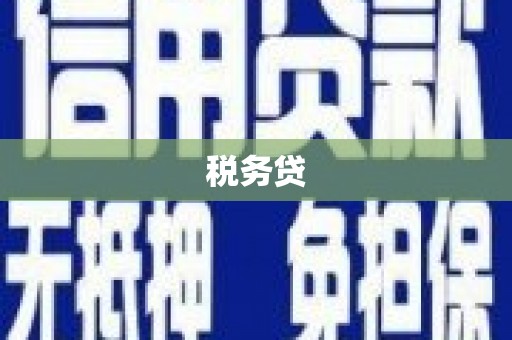 武汉税务贷