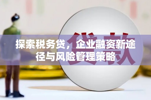 武汉探索税务贷，企业融资新途径与风险管理策略