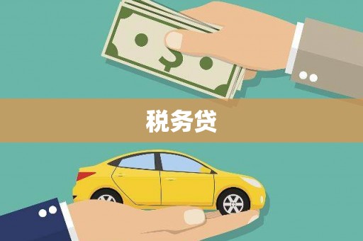 武汉税务贷
