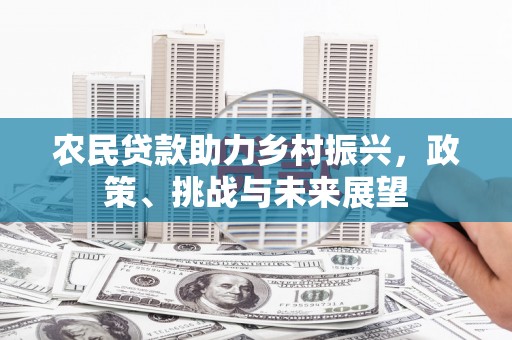 武汉农民贷款助力乡村振兴，政策、挑战与未来展望