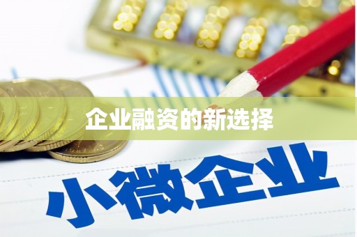 武汉企业融资的新选择