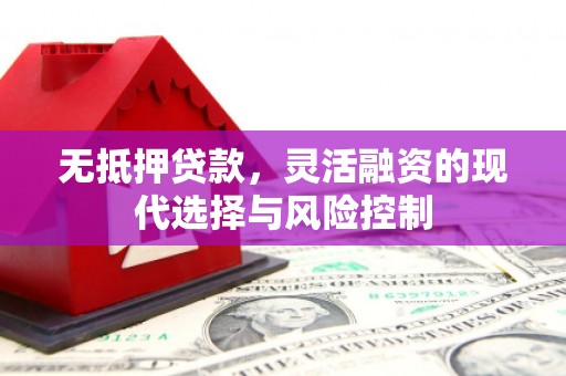 武汉无抵押贷款，灵活融资的现代选择与风险控制