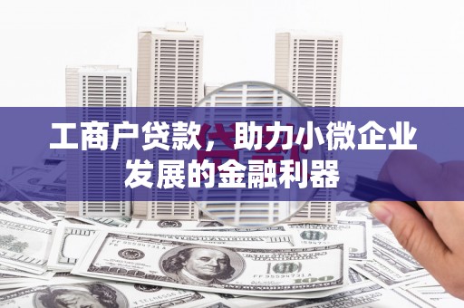 武汉工商户贷款，助力小微企业发展的金融利器