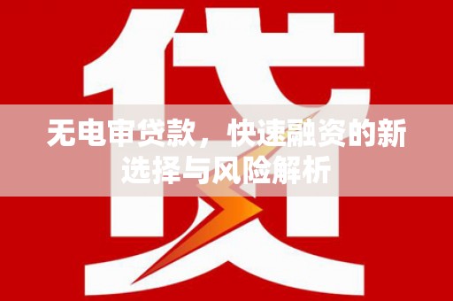 武汉无电审贷款，快速融资的新选择与风险解析
